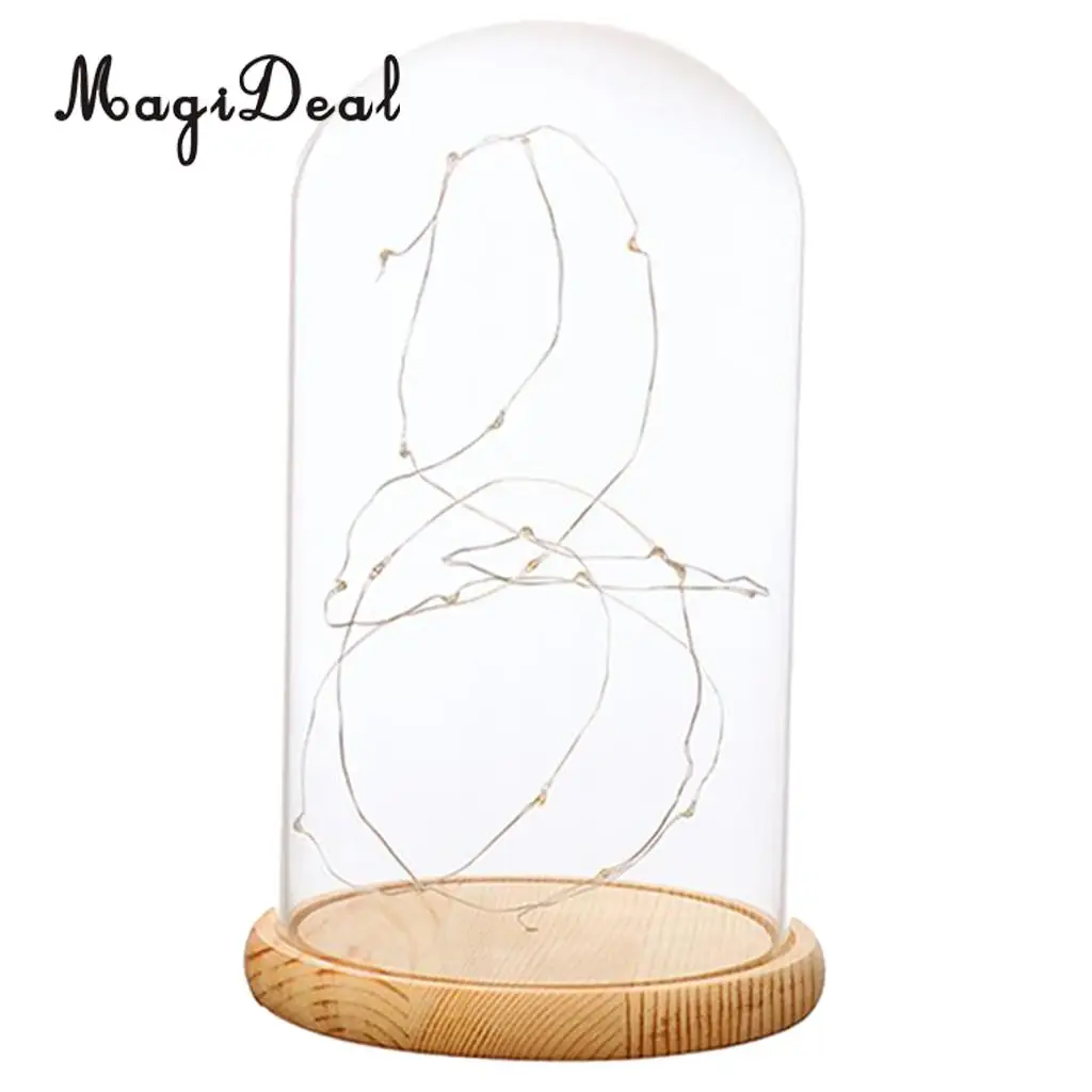 Glass Display Dome Cloche With Suspended LED Lights Tabletop Lamp Wedding Holiday Decor Crafts