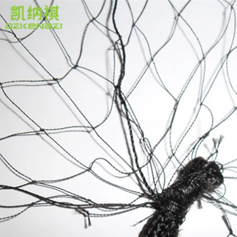 

5 pcs/Lot 2.4 x 6 M 20mm Hole Orchard Garden Anti Bird Net Polyester 110D/2 Knotted Sparrow Mist Net