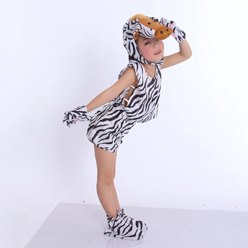 animal zebra 04 800