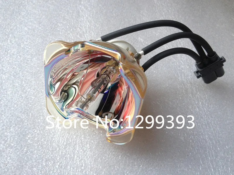 T355 (2)