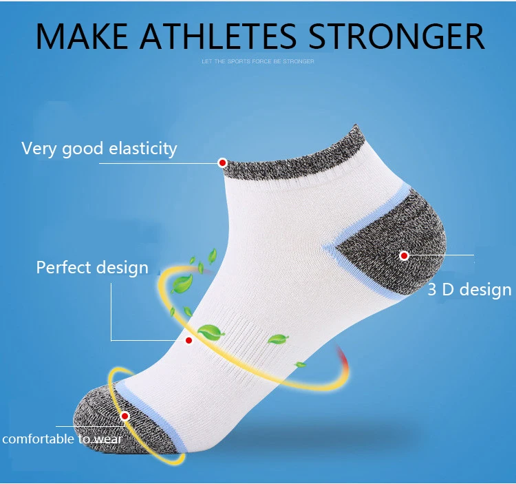 7522884575_244521836