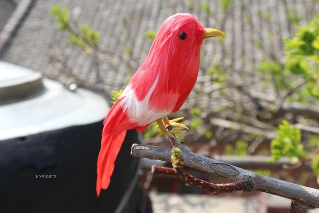 Plumas rojas y blancas modelo de pájaro alrededor de 12 cm