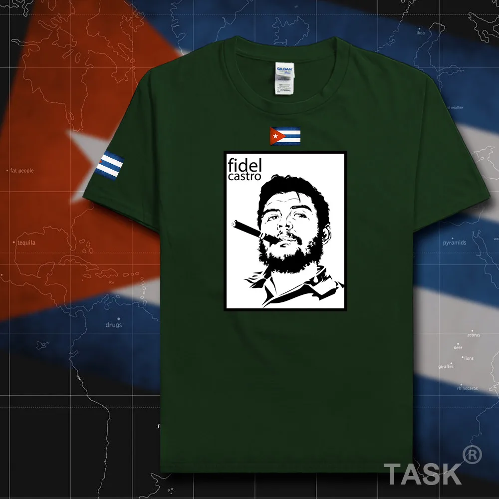 HSPE_Castro07_T01forestgreen
