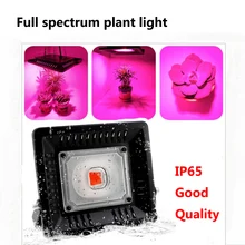 50 Вт 100 Вт COB светодиодный свет для выращивания полного спектра светодиодный светильник для выращивания овощей, цветов, Крытый Открытый гидропонная теплица растительный свет