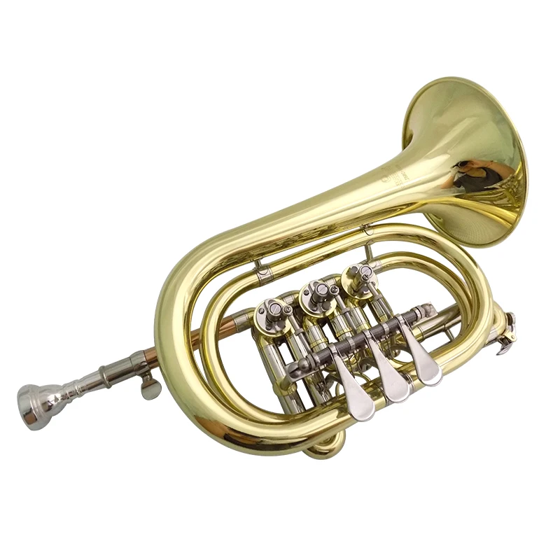 Bb Rotary valve Cornet Brass cornet Brass wind musical instrument Carving your own design on the bell