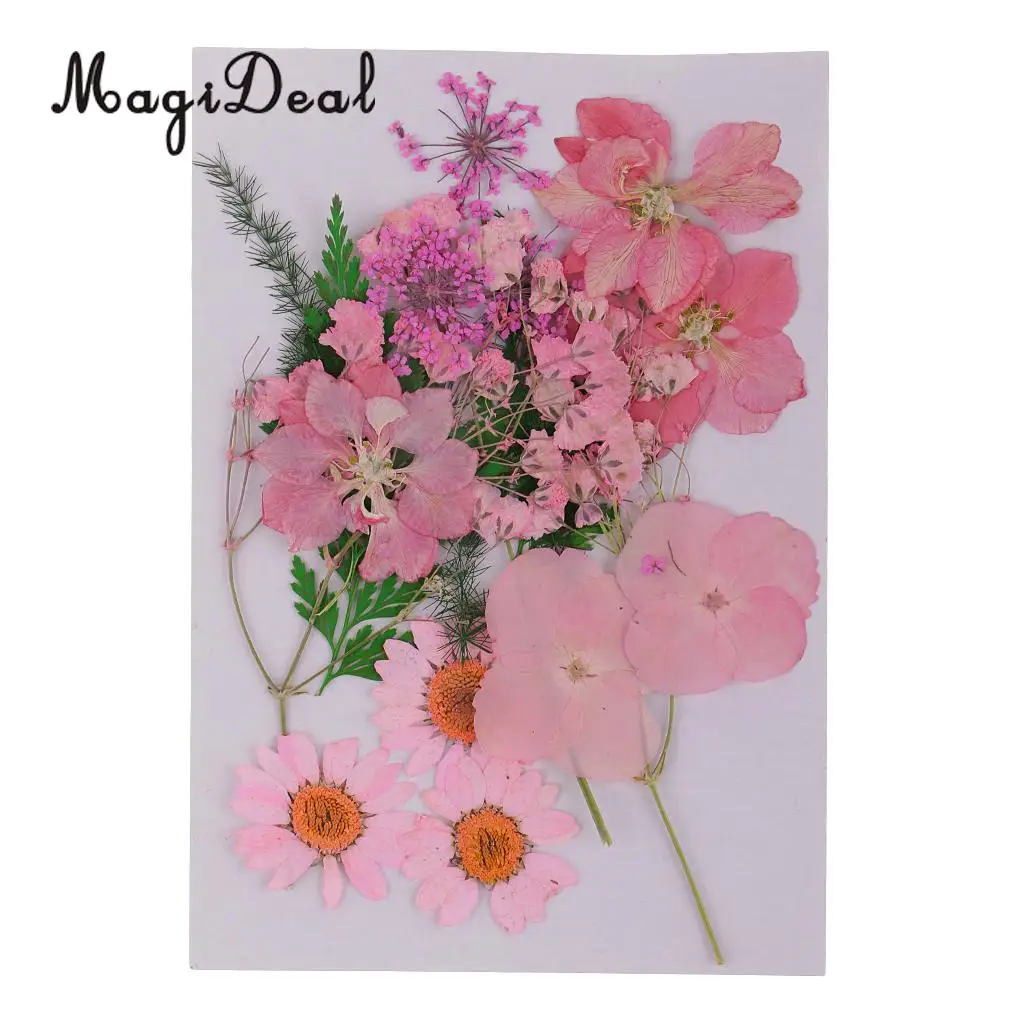 Beautiful Multiple Real Pressed Leaves Natural Dried Flowers for Art Craft Scrapbooking Card Making  Resin Jewelry Craft DIY