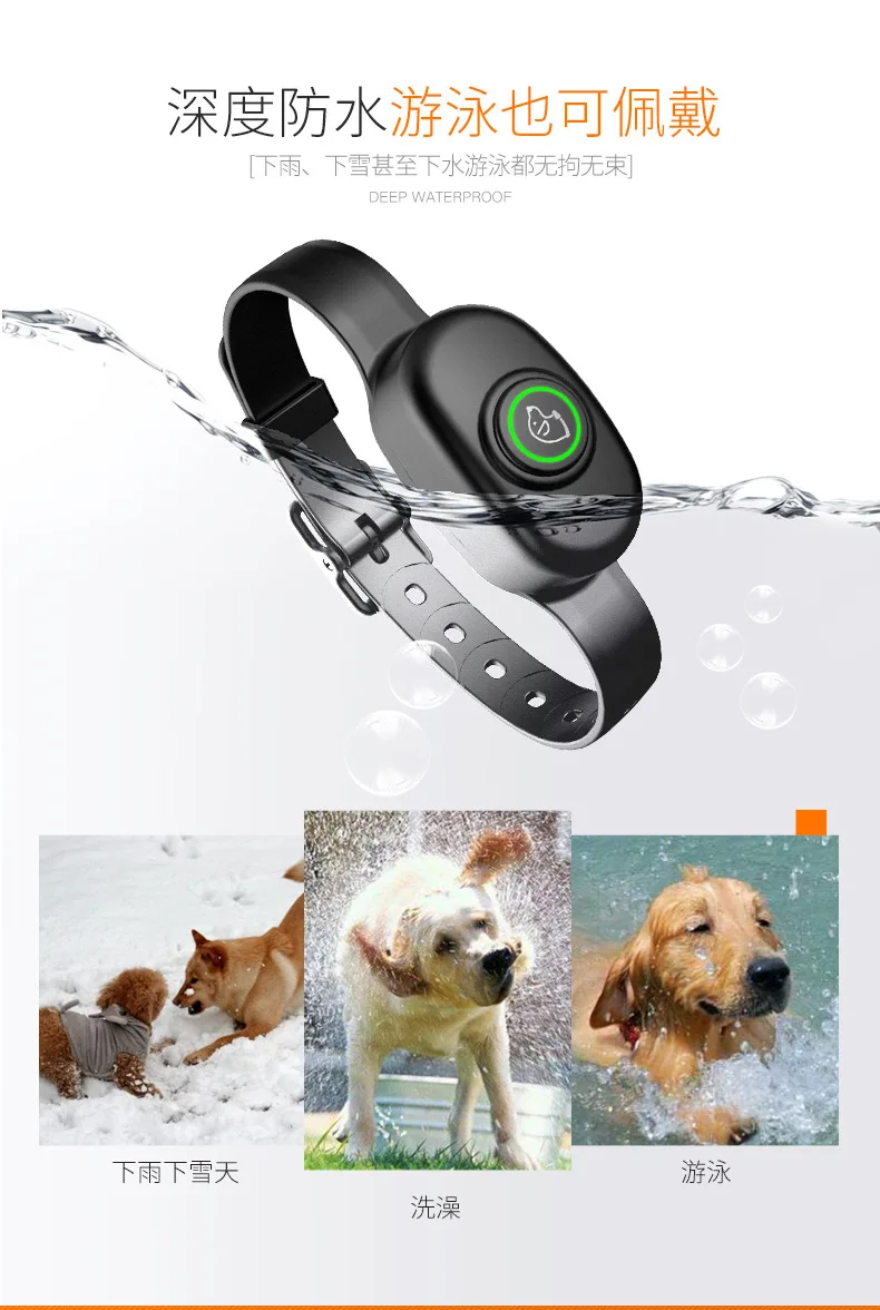dog300