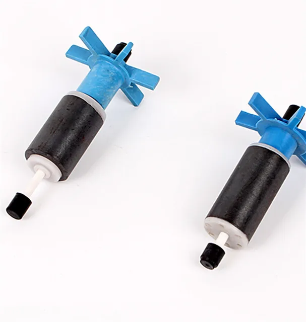 red heeler boston terrier mix