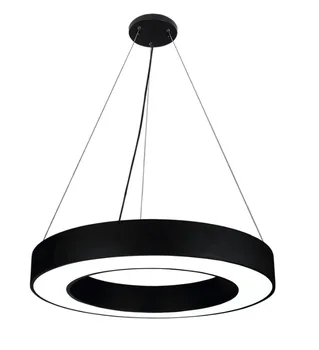 

Circular Ring LED Light / Suspended Loop Lamps for bespoke Designs / Atrium High Ceiling / Opal Lens