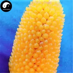 Купить ананас восковидная Semente 60 шт. завод китайский сладкий Zea Mays для фруктов кукурузы
