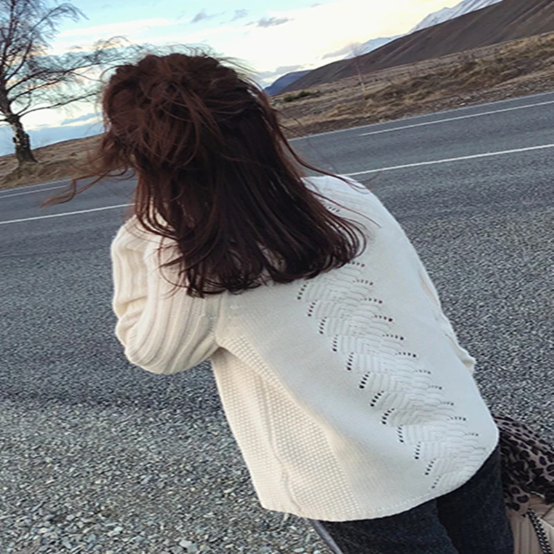 Winter Europe and America trend pure cashmere women's sweater high collar loose fashion design style women's wild models