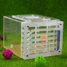 Муравья корпус гнездо клетка для насекомых фермы корма корзина пластиковый акриловый дисплей квадратная коробка