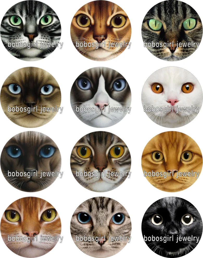 

mixed set high quality animal cat dog horse glass snap button Round photo glass cabochon BP008