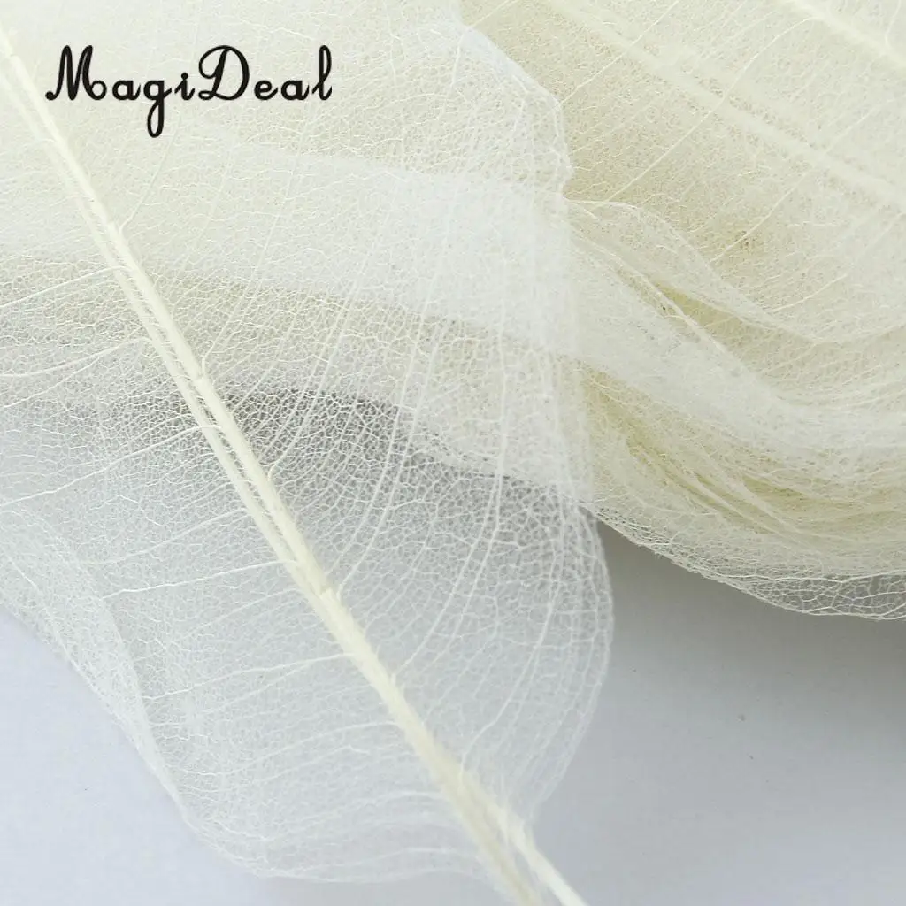MagiDeal 50Pcs Natural Magnolia Skeleton Leaf Leaves Card Scrapbook White Wedding Party Decor Skeleton Leaves