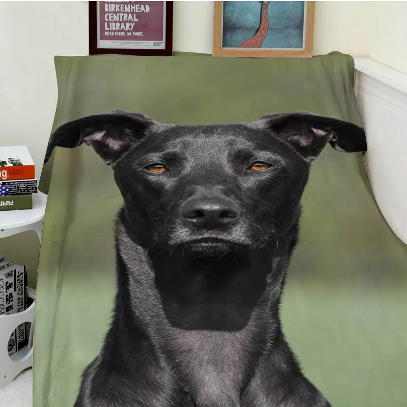 

Blanket plaid a blanket Plaids Warmth Soft Plush Funny Black Labrador Serious expression Plaids on the Sofa Bed Throw blanket