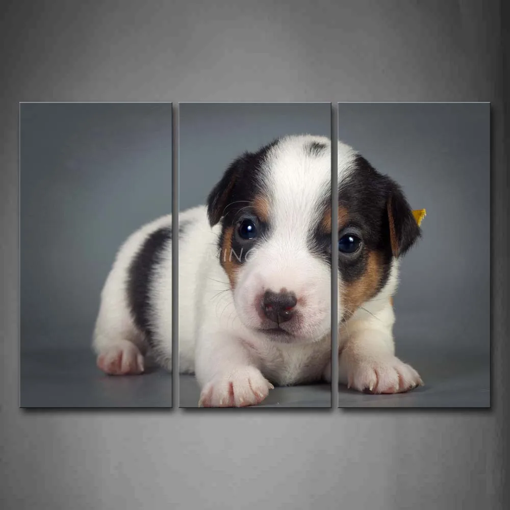 3 Piece Wall Art Painting Hitam Putih Anjing Lucu Duduk Di Lantai