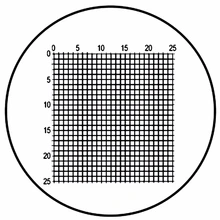 25*25 DIV 0,2 мм микроскоп окуляр Калибровочная линейка микрометр для сцены микрометр микроскопа прецизионный инструмент