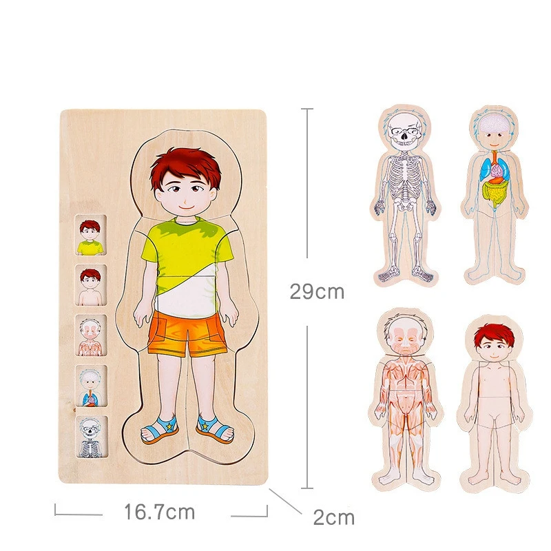 Мульти-многослойные деревянные пазлы человека тело строительные игрушки развивающие деревянные игрушки развивающие игрушки Детские