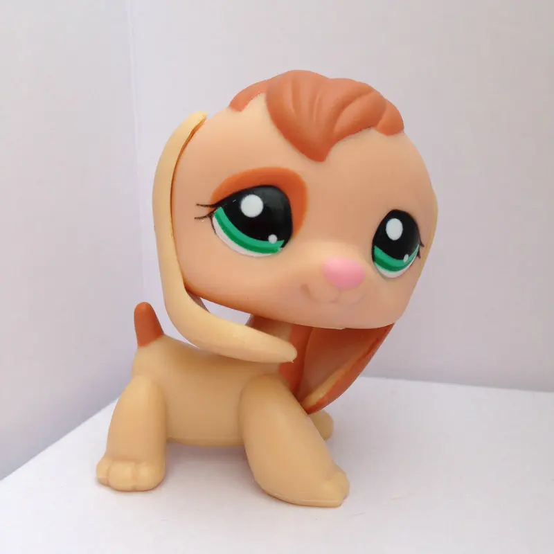 lps dog breeds lps dog breeds