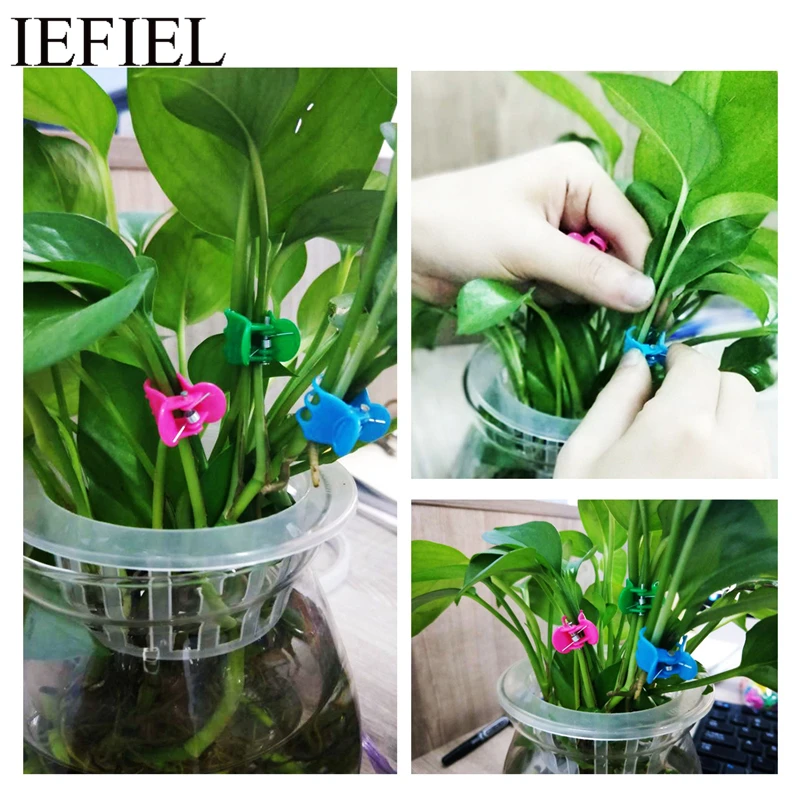 

Pack of 100 Assorted Color Plastic Plant Support Garden Flower Orchid Clips for Supporting Stems Stalks Vines Grow Upright