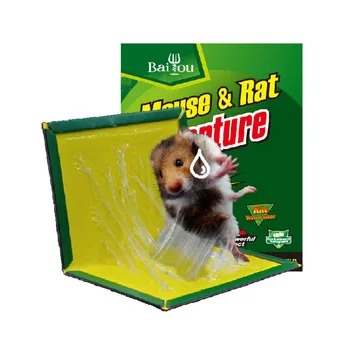 

New Arrival Strong Flies Traps Bugs Sticky Board Catching Aphid Insects Pest Killer Outdoor Fly Trap for Aphids Fungus GnatsLeaf