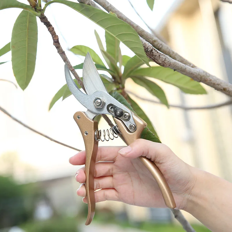 MALELION, один ручной садовый инструмент для обрезки, ножницы для обрезки толстых веток, срезанные фруктовыми деревьями, цветочными ветвями, новые садовые инструменты