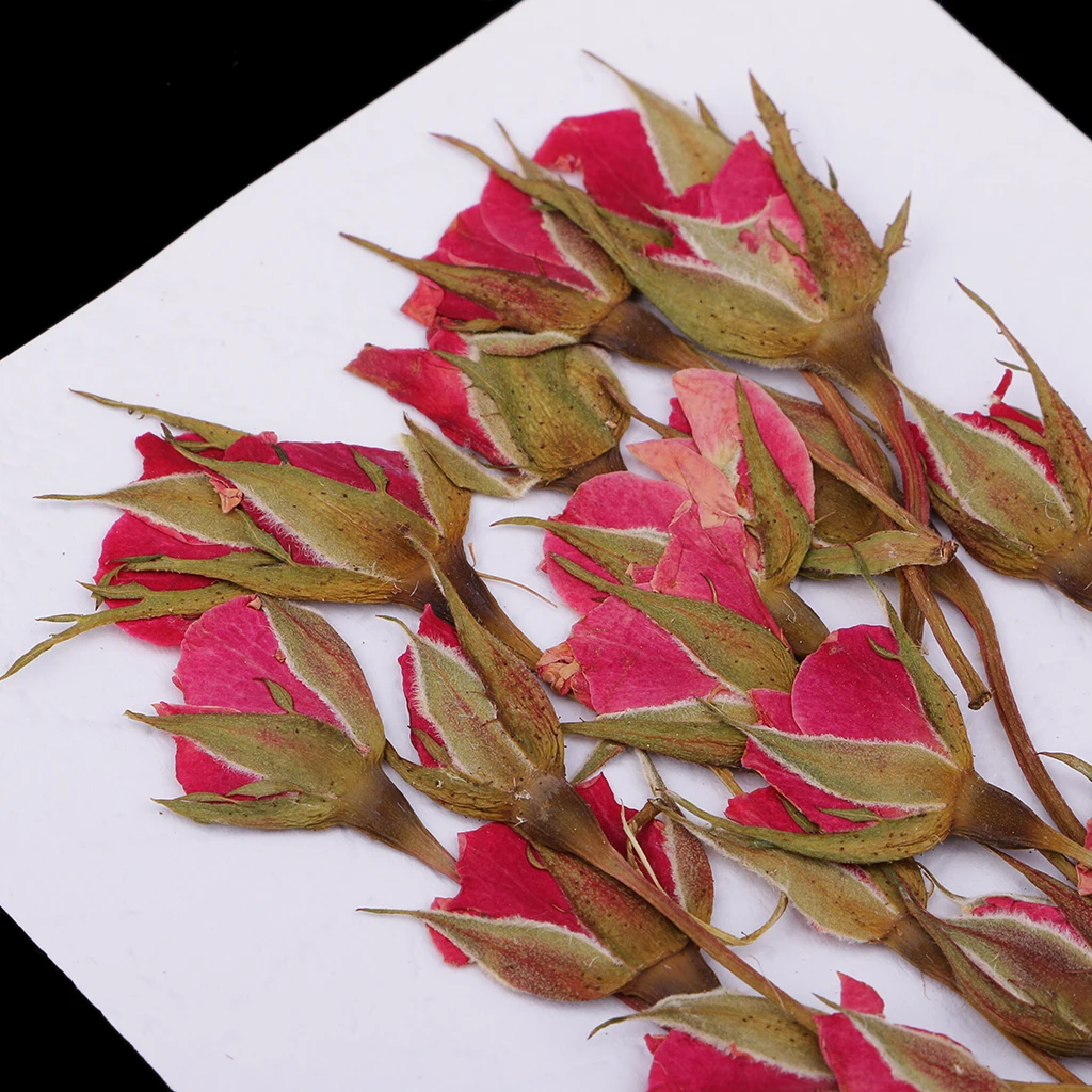 20x Pressed Natural Dried Flower Rose Flower Embellishment for DIY Phone Case Decoration DIY Handmade Home Ornament Craft