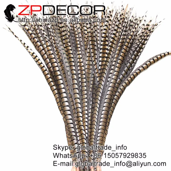 80-90cm natural lady amherst pheasant feathers  (98)