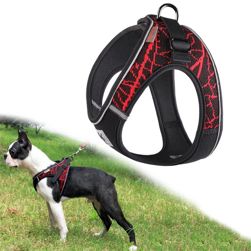 No Pull Harness For Boston Terrier bet.yonsei.ac.kr
