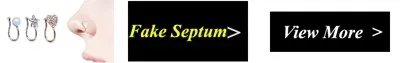 1 шт. 3 вида стилей Кристалл mr. уникальный зажим для носа nosecгуб кольцо в нос имитация поддельная Проколотая перегородка