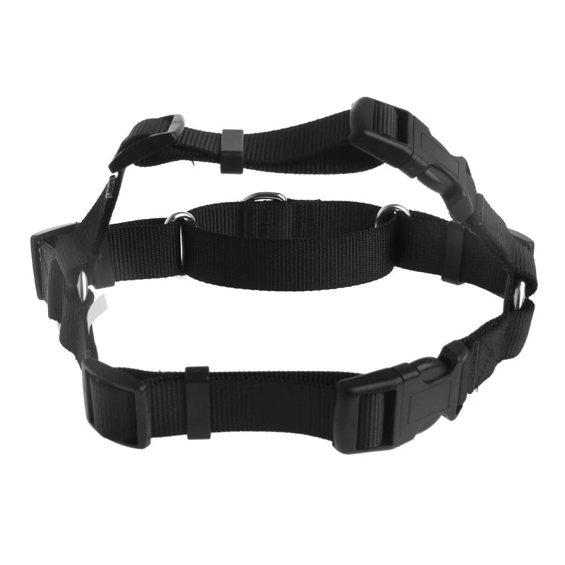 

Pet Safe Easy Walk Dog Harness Medium Comfortable And Stylish Lead Leash
