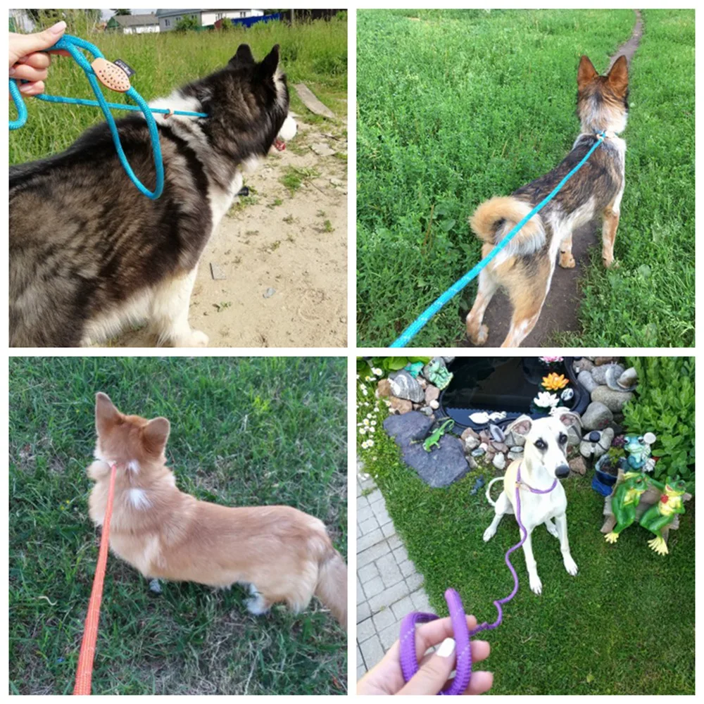 Pet Products Dog Leash Nylon Reflective Puppy Dog Leash Rope Cat Chihuahua Pet Leash And Collar Set Cat Dog Leashes Lead Harness (37)