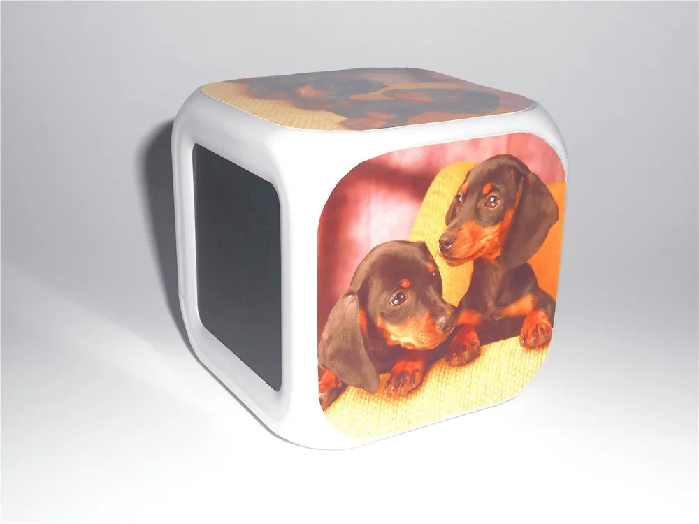 Dachshund Led Alarm Clock 4