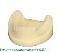 Free Shipping Implant practice study model without gum dental tooth teeth dentist anatomical anatomy model odontologia