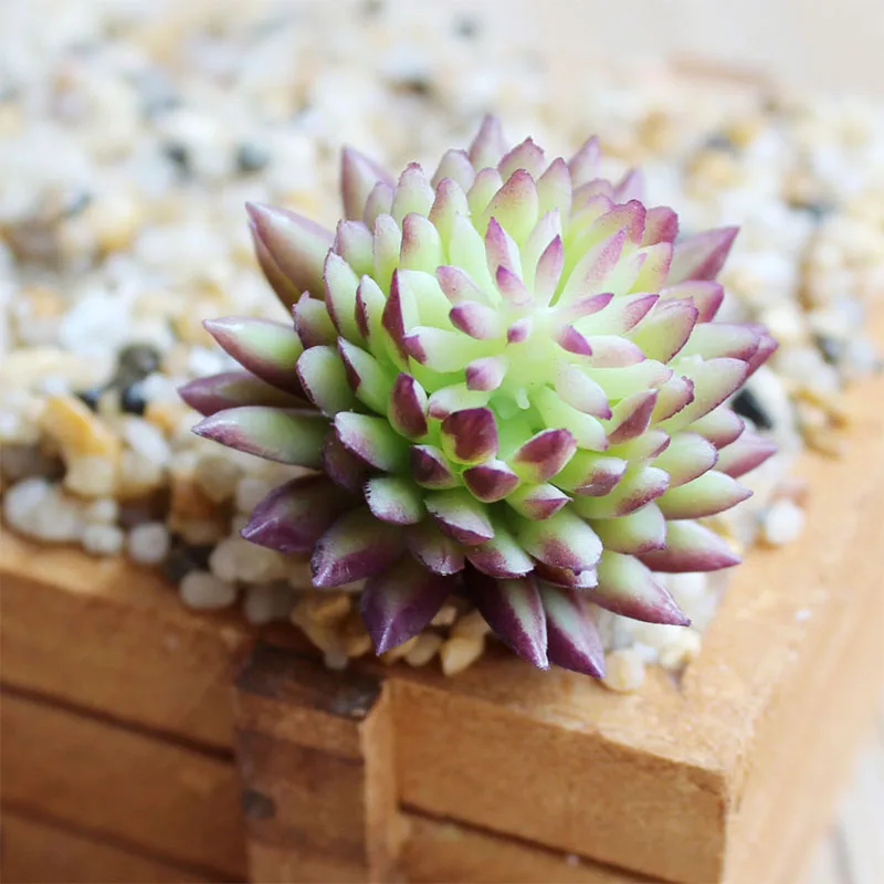 Charming Accessories Flocking DIY Mini Plant Plastic 1pc New Bridal Bouquet Fashion Purple Succulents Flower wall Floral - Цвет: 18