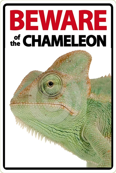 Beware of The Rabbit Plaque Vintage Metal Tin Signs Home Bar Pub Office Decorative Plate Rat Wall Sticker Garden Art Poster MN11 L