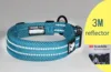 Pet Products