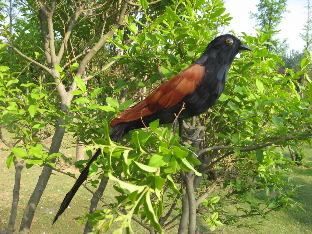 

large 30cm Paradoxornis brunneus bird model,polyethylene&feathers artificial bird handicraft,garden prop decoration gift a2425