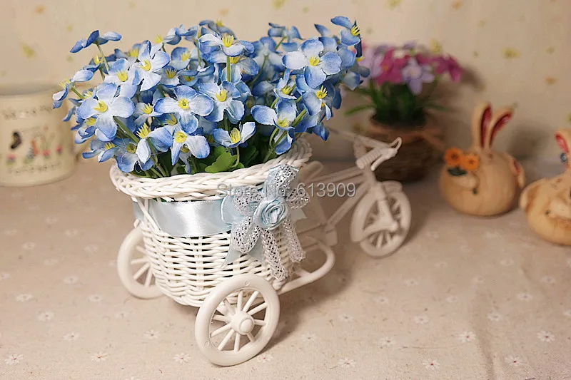 SAM_5005