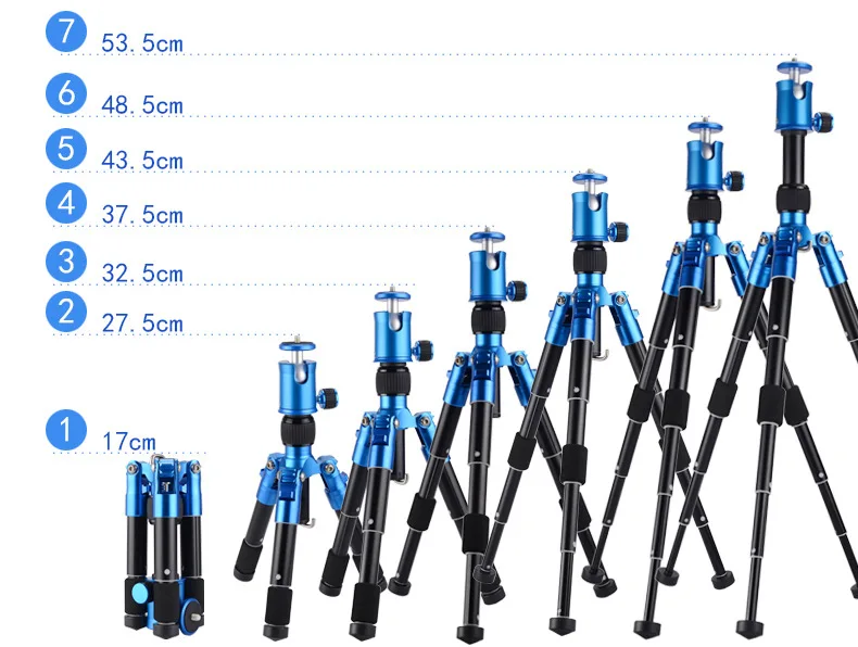 2970054290_337156063