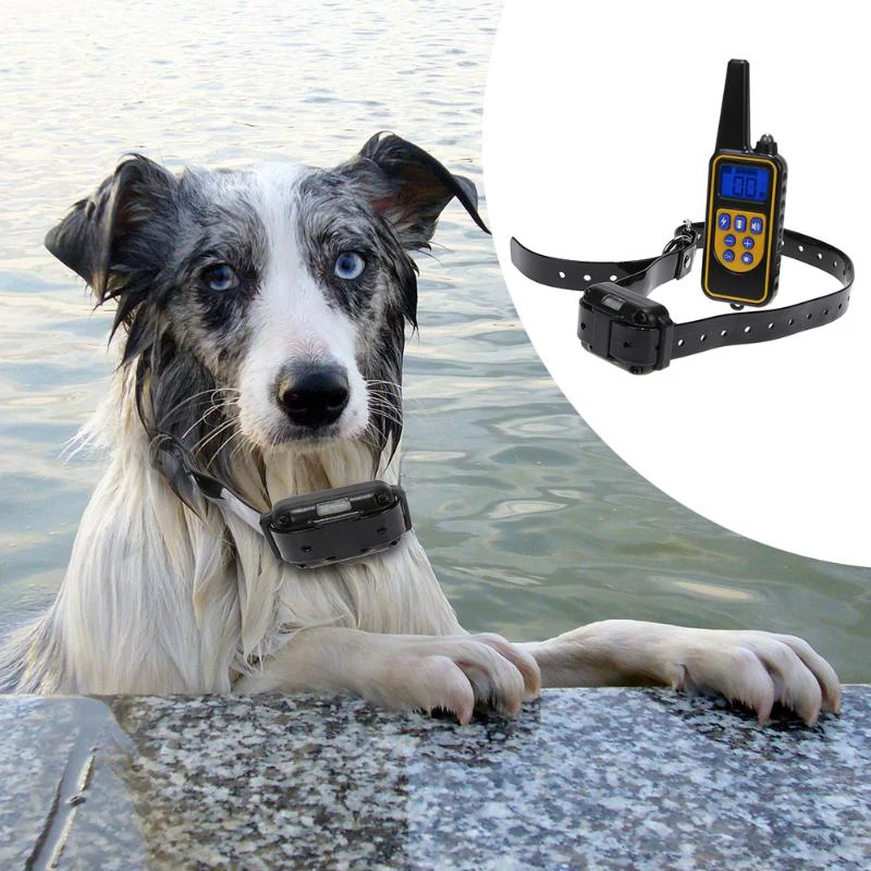 880 Electric Dog Training Collars Waterproof Rechargeable Dog Collar With 800m Remote Control Receiver Pet Training Collars4