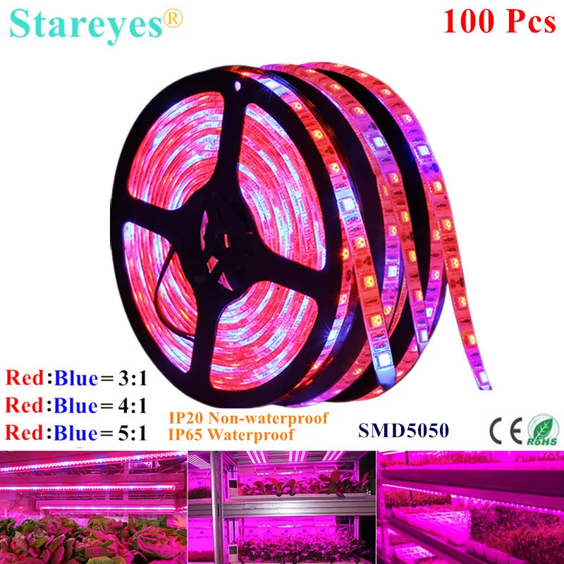 

100 Pcs SMD 5050 5m LED Strip Grow light Full Spectrum Plant Phyto Growth lamp For Greenhouse Hydroponic Plant Growing tent