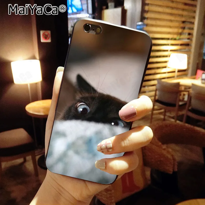 MaiYaCa الحيوانات الأليفة سيامي القط الفاخرة الأزياء جراب هاتف ل أبل فون 8 7 6 6 ثانية زائد X 5 5 ثانية SE XS XR XS ماكس الهواتف المحمولة MaiYaCa الحيوانات الأليفة سيامي القط الفاخرة الأزياء جراب هاتف ل أبل فون 8 7 6 6 ثانية زائد X 5 5 ثانية SE XS XR XS ماكس الهواتف المحمولة