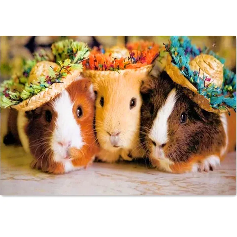 DIY Diamond Painting Guinea Pig 3d Embroidery cross Stitch Kits Drill Full square mosaic Rhinestone painting cute pet | Дом и сад