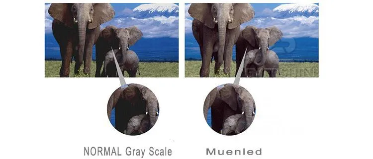 HTB1sH94OFXXXXcFaXXXq6xXFXXXD