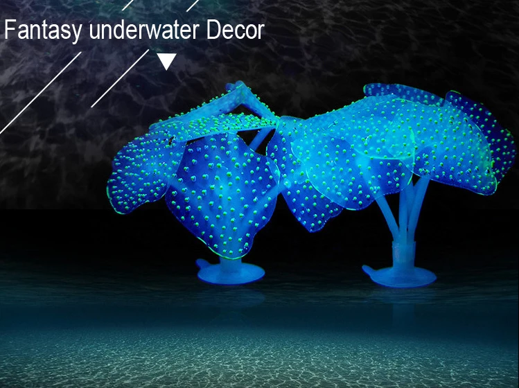 HTB14gnEcXuWBuNjSszbq6AS7FXaC