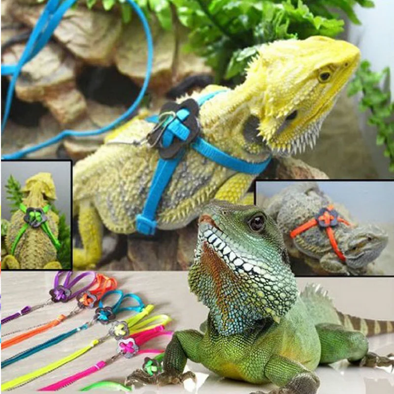 110cm Reptile Lizard Harness & Leash Adjustable Multicolor ...