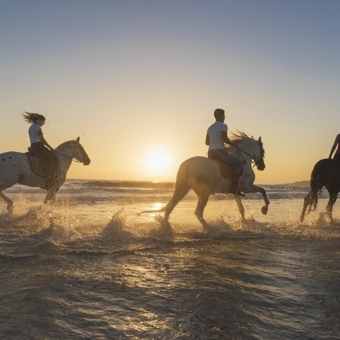 Horseback riding in the shallow water at sunset; Tarifa  Cadiz  Andalusia  Spain Poster Print (38 x 24)