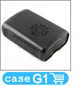 G1