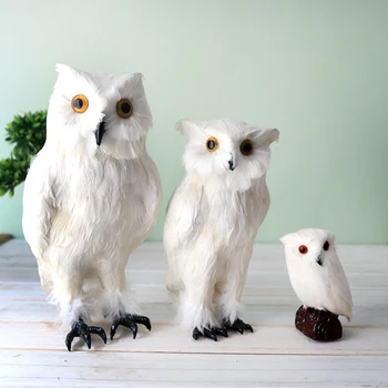 

Owl feathers Bird specimen ornament photographic props Static model home furnishing craft statues Home decoration dies